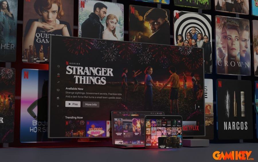 netflix su dung duoc tren nhieu thiet bi thong minh 1 Nhiều người có nhu cầu thuê tài khoản Netflix uy tín