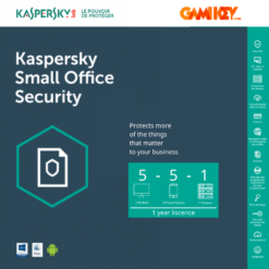Kaspersky Small office Security
