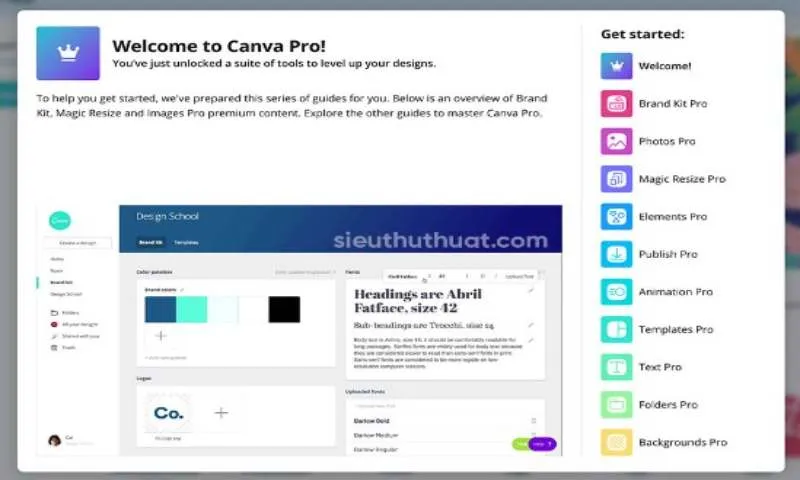 chia se tai khoan canva pro 3 Lợi ích đặc biệt khi chia sẻ canva pro