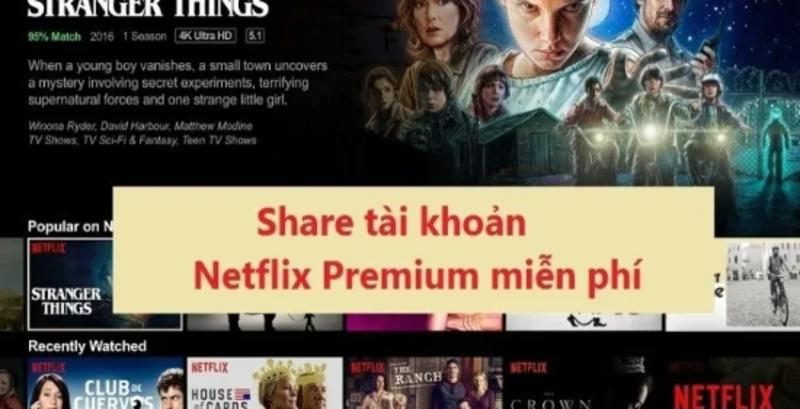 tk netflix lậu TK netflix lậu