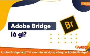 Adobe Bridge là gì