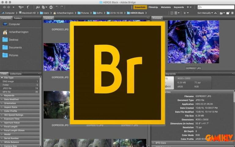 Adobe Bridge là gì? Vì sao nên sử dụng công cụ Adobe Bridge?