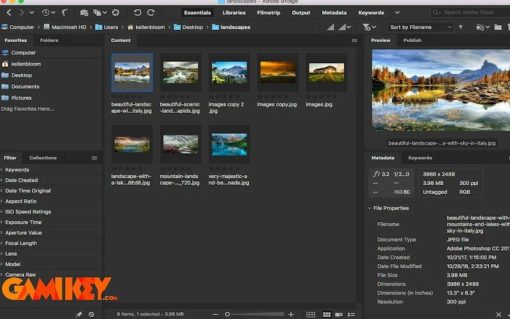 Adobe Bridge là gì? Vì sao nên sử dụng công cụ Adobe Bridge?