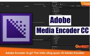 Adobe Encoder là gì