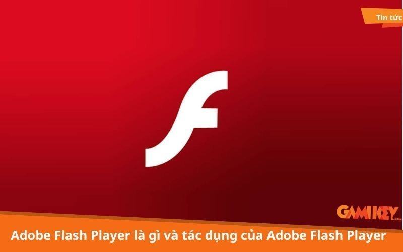Adobe Flash Player la gi