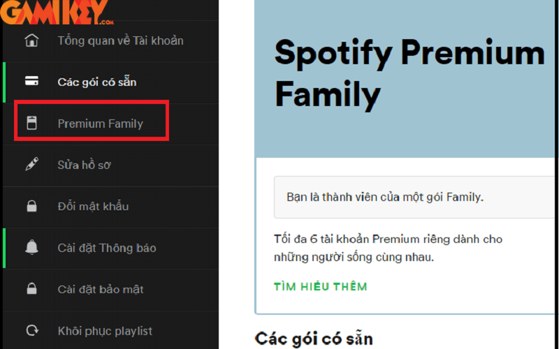 Hướng dẫn cách chia sẻ tài khoản Spotify dùng chung (3) Hướng dẫn cách chia sẻ tài khoản Spotify dùng chung (3)