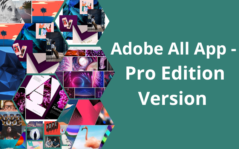 adobe pro edition version