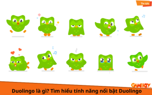 Duolingo là gì