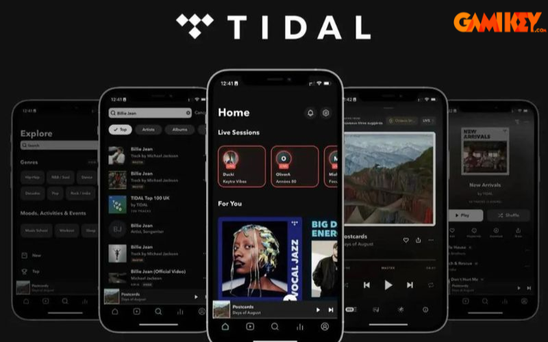 Tài khoản Tidal 