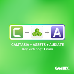 Camtasia assets audiate