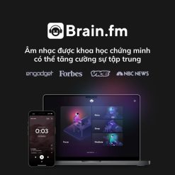 brain