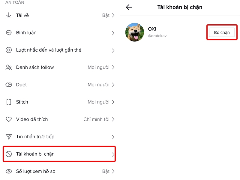 cách chặn TikTok