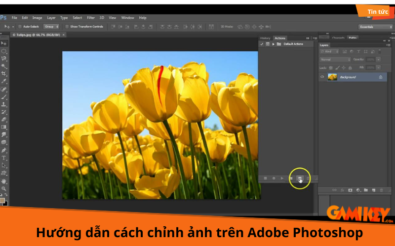 cách chỉnh ảnh trên Adobe Photoshop