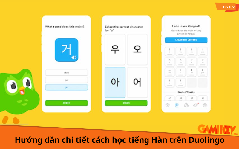 cách học tiếng hàn trên duolingo