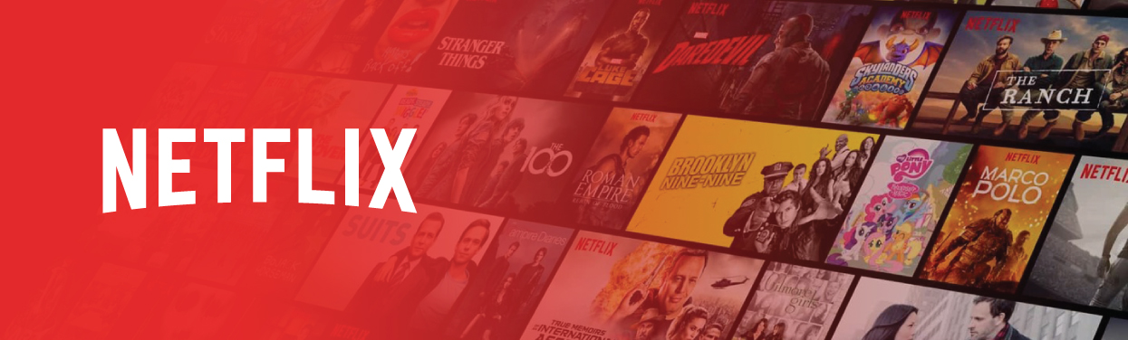 broadband nz netflix banner