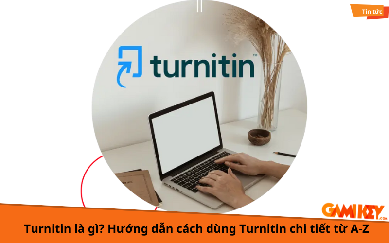 cách dùng Turnitin