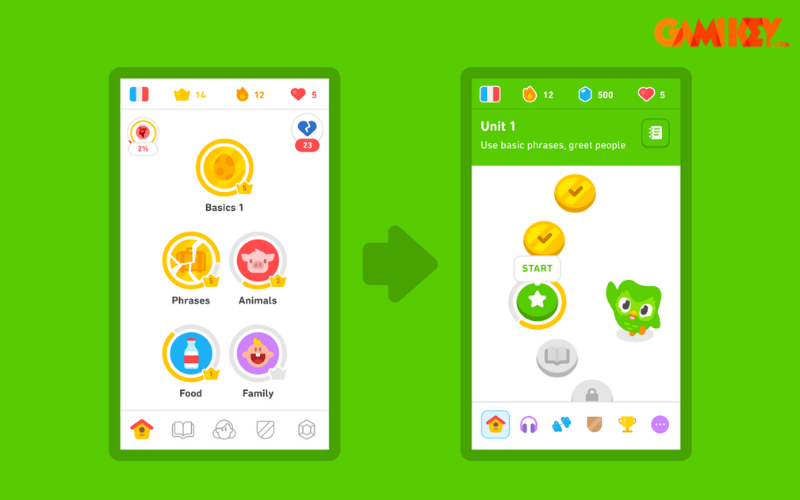 cách học Duolingo hiệu quả