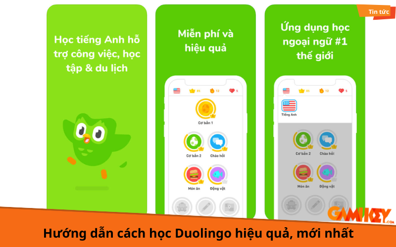 cách học Duolingo hiệu quả