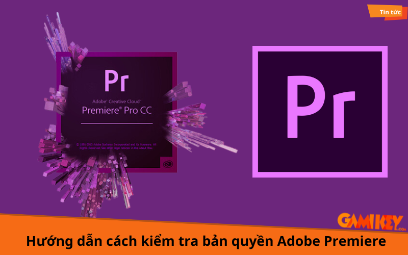 cách kiểm tra bản quyền adobe premiere