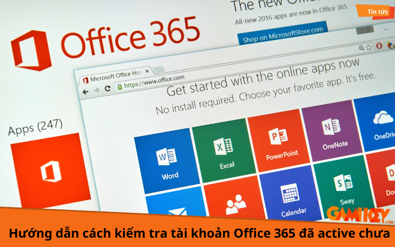 cách kiểm tra tài khoản office 365