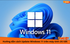 Hướng dẫn cách Update Windows 11