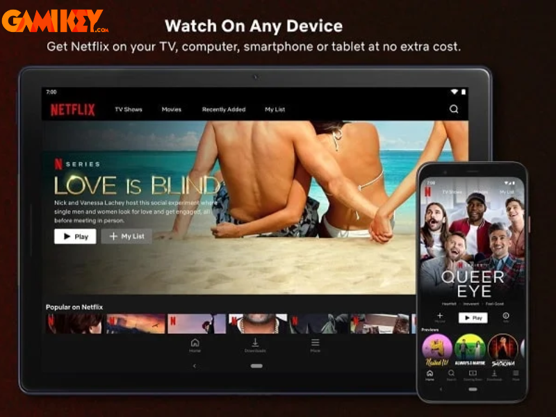 Netflix Mod Apk