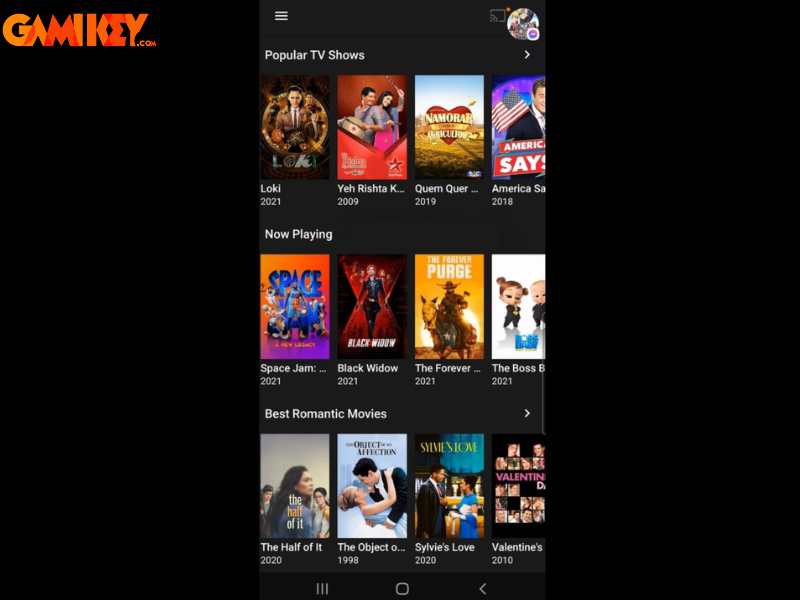 Netflix Mod Apk