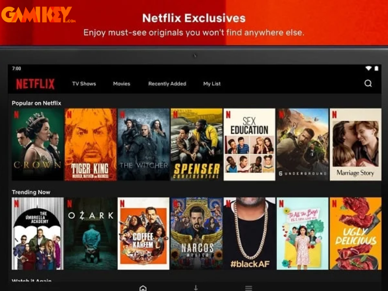 Netflix Mod Apk