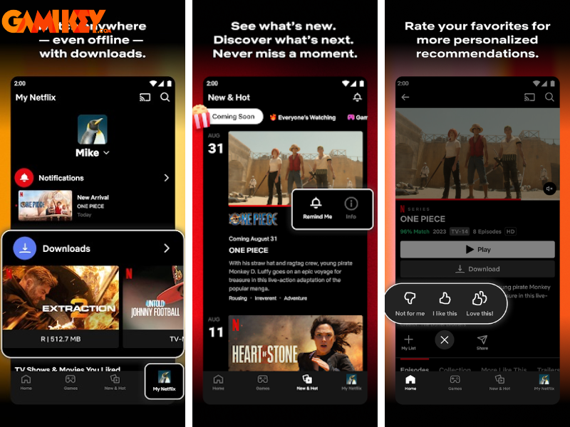 Netflix Mod Apk