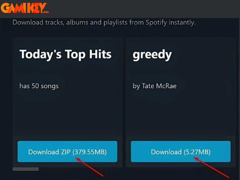 cách tải nhạc trên Spotify không cần Premium