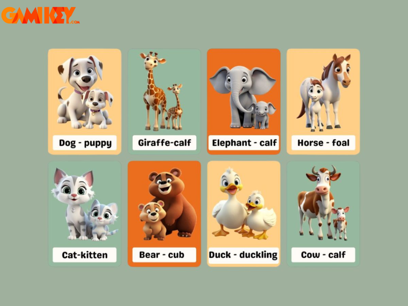AI tạo Flashcard