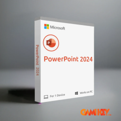 PowerPoint 2024 for 500 Users