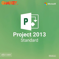 Project 2013 Standard 5 User