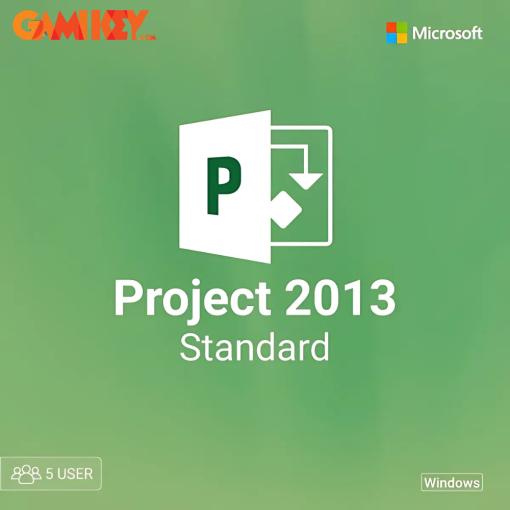 Project 2013 Standard 5 User