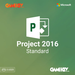 Project 2016 Standard 5 User