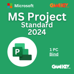 Project Standard 2024 Bind