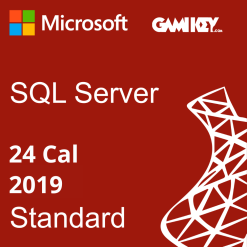 SQL Server 2019 Standard 24 Client Access License