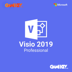 Visio 2019 Professional 2 User