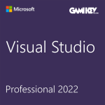 Visual Studio Professional 2022 Two User