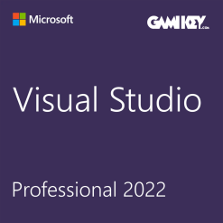 Visual Studio Professional 2022 Two User