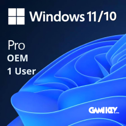 Windows 11 10 Professional OEM 1 User Online