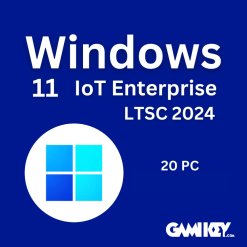 Windows 11 IoT Enterprise LTSC 2024 20 user