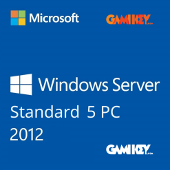 Windows Server 2012 R2 Standard 5 User