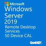 Windows Server 2019 50 Client Access Licenses Device