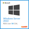Windows Server 2022 50 Client Access Licenses User
