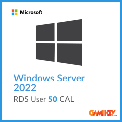 Windows Server 2022 50 Client Access Licenses User