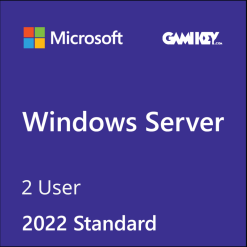 Windows Server 2022 Standard 2 User