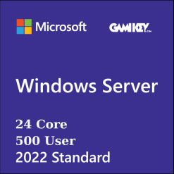 Windows Server 2022 Standard 24 Core MAK 500 User