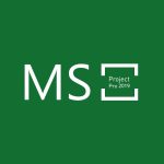 Key kích hoạt MS Project Pro 2019 CD Key