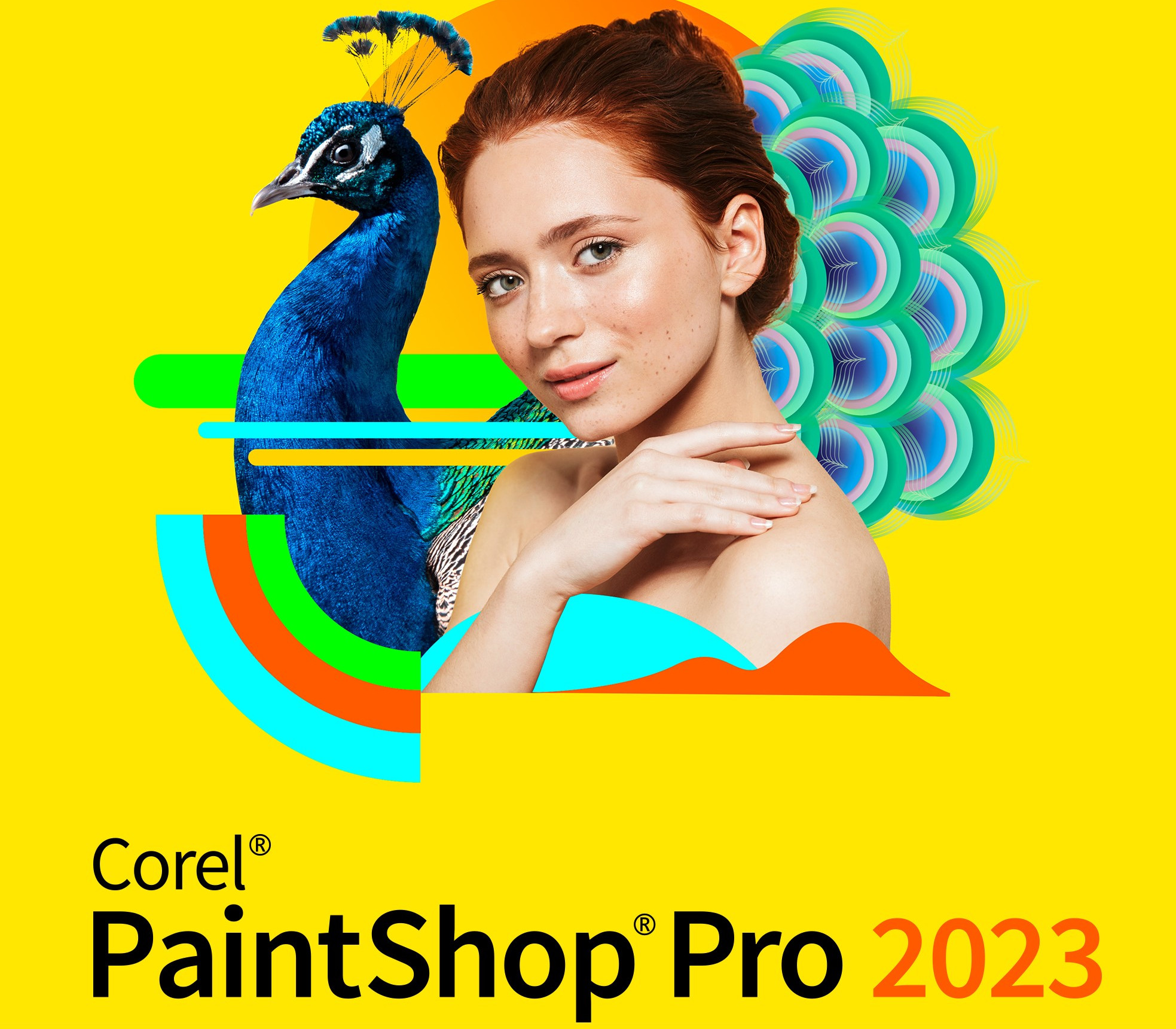 KGN 202658